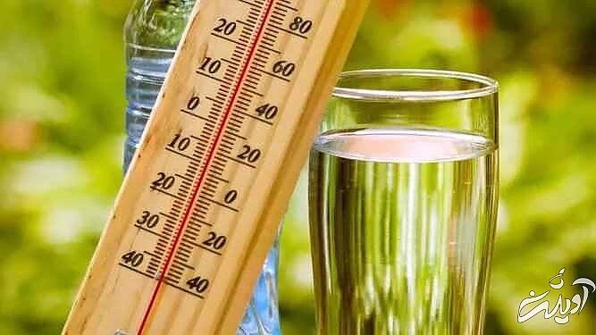 بلای عجیبی که هوای گرم بر سر مغز می آورد - چه کاری می توان انجام داد؟